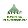 Maskeliya Plantations PLC